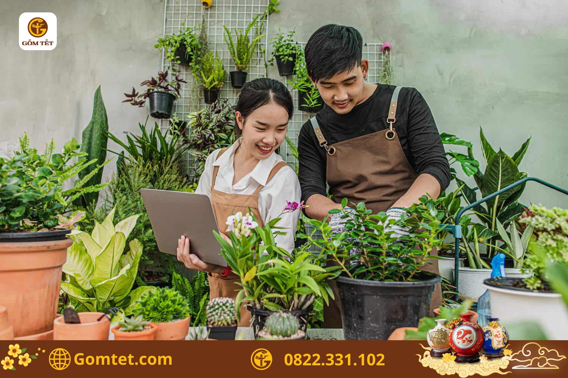 kinh doanh cây cảnh mini