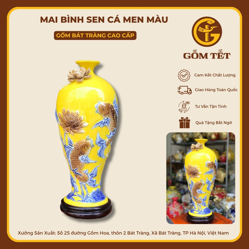 Mai Bình Sen Cá Men Màu