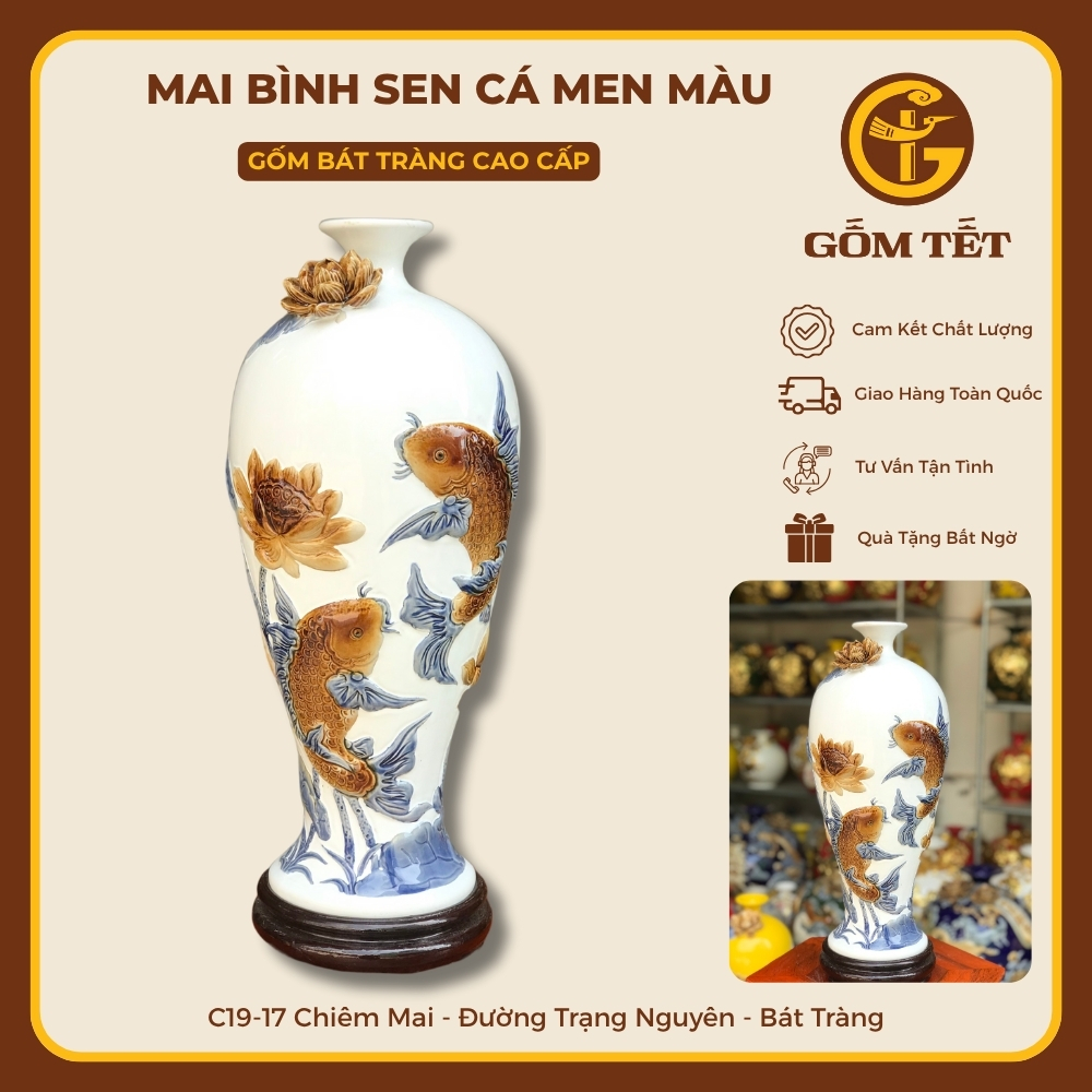 Mai Bình Sen Cá Men Màu 3 Mai binh sen ca men mau 3