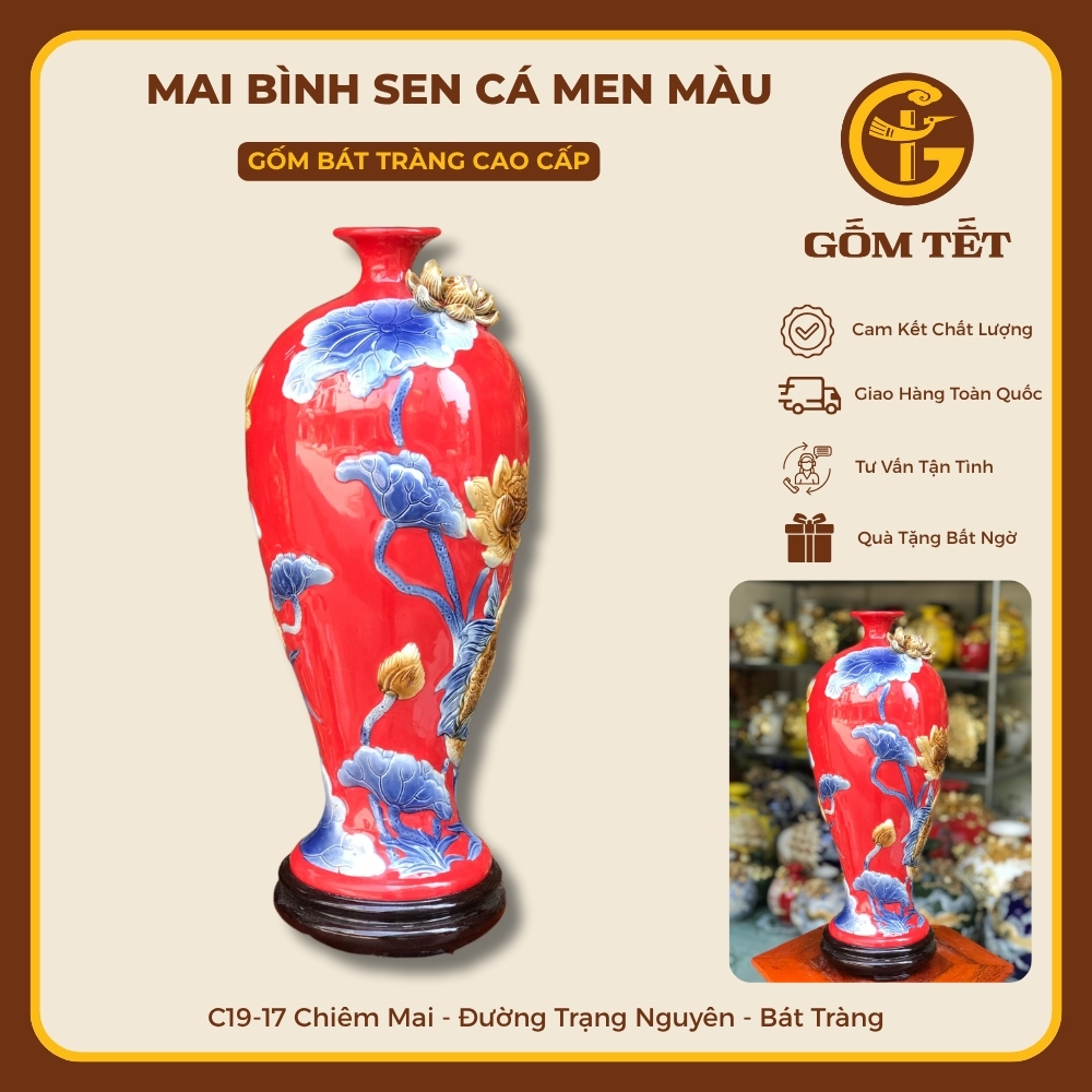 Mai Bình Sen Cá Men Màu 4 Mai binh sen ca men mau 4