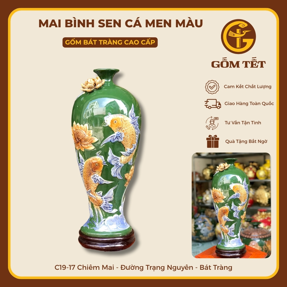 Mai Bình Sen Cá Men Màu 6 Mai binh sen ca men mau